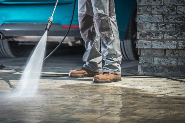 Best Dumpster Area Cleaning  in Orida City, FL
