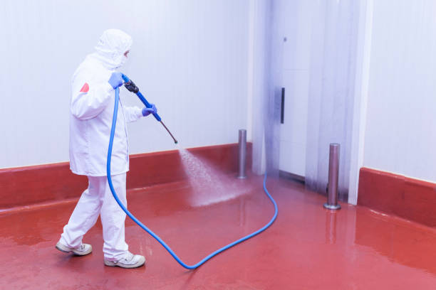 Best Fleet Vehicle Washing  in Orida City, FL